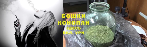 прущие крисы Ельня
