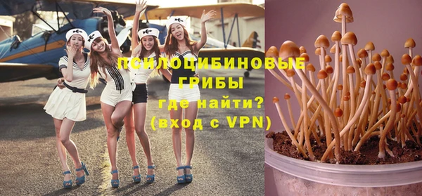 прущие крисы Ельня