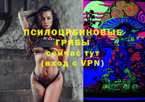 прущие крисы Ельня