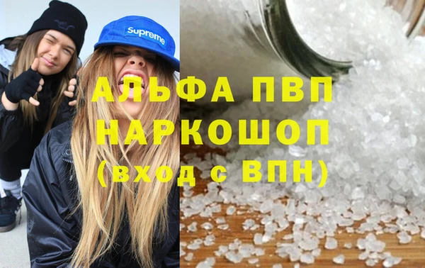 прущие крисы Ельня