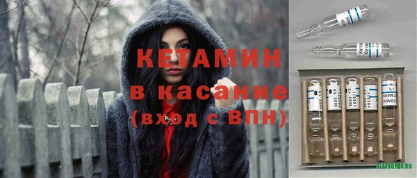 прущие крисы Ельня