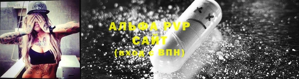 прущие крисы Ельня