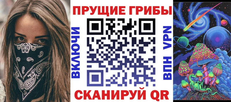 Псилоцибиновые грибы Psilocybe  Купить закладки  Можайск 